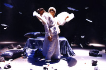 新世纪，天使隐藏人间(1996)